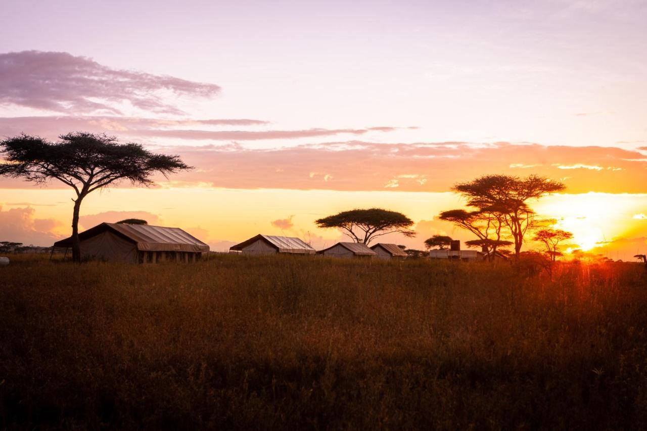 Mawe Tented Camp بيت خشبي سيرينغيتي
