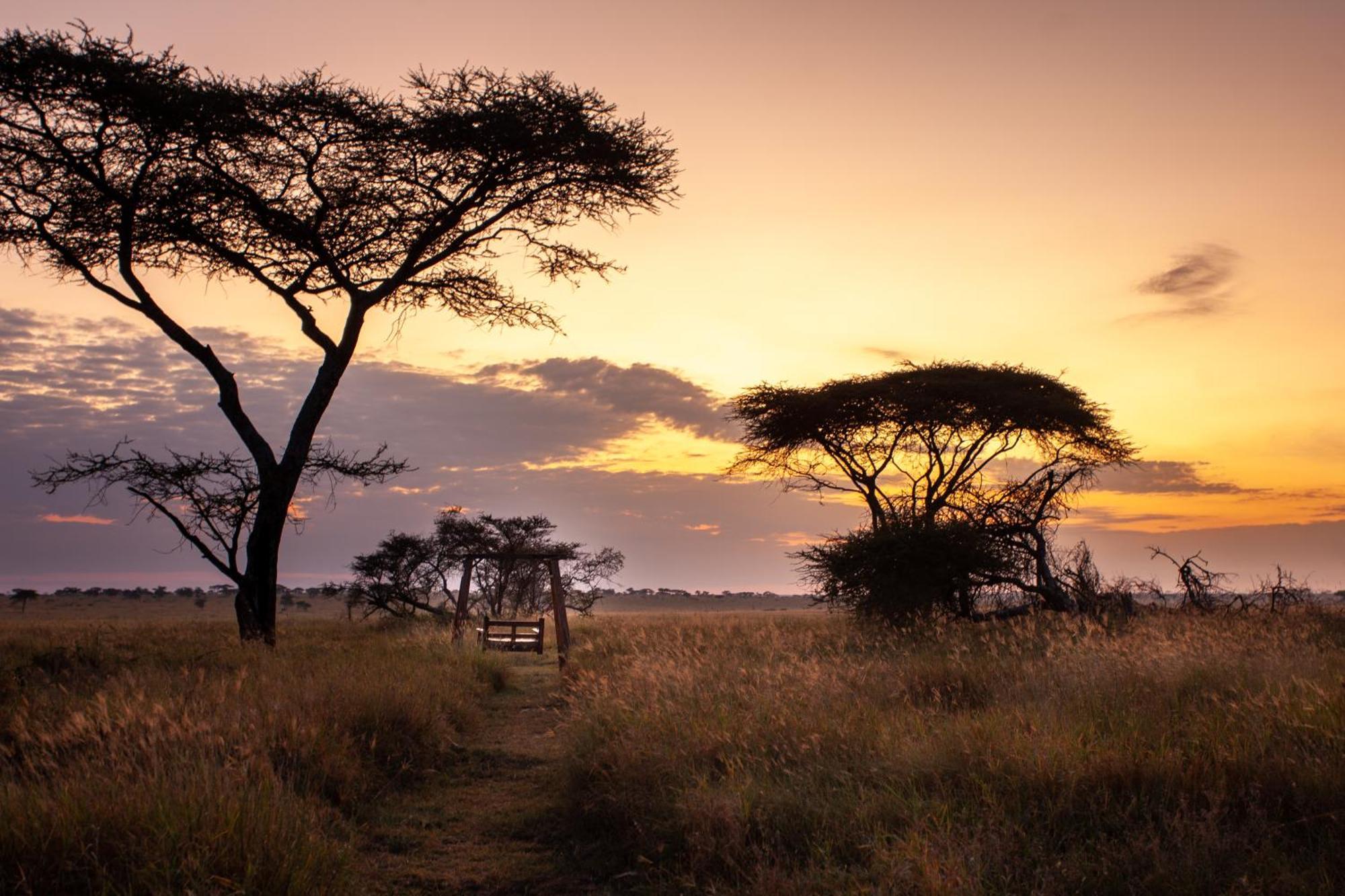 بيت خشبي Mawe Tented Camp سيرينغيتي