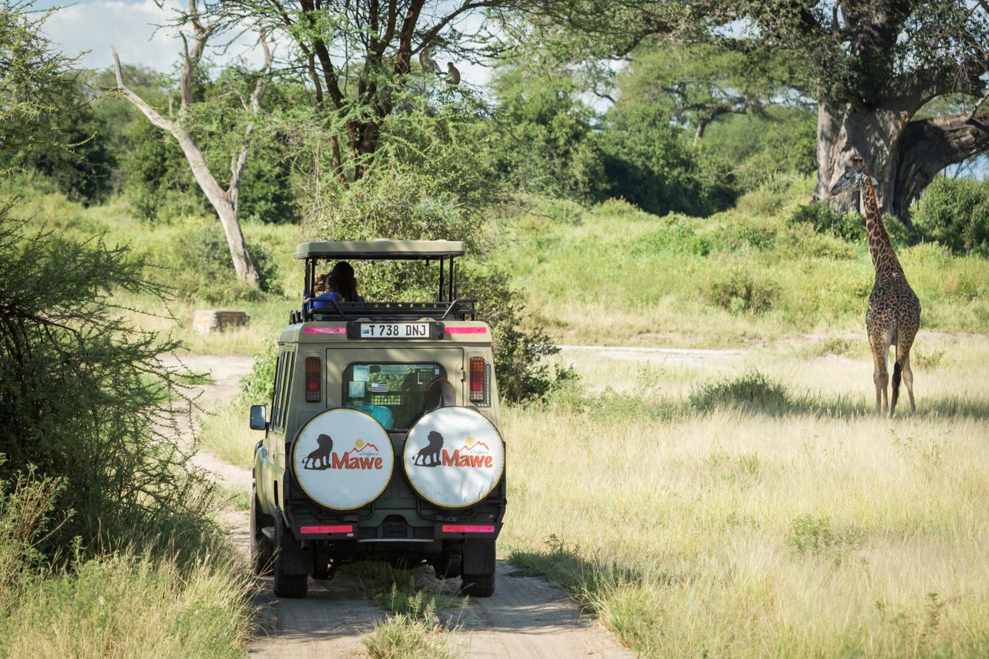 Mawe Tented Camp بيت خشبي